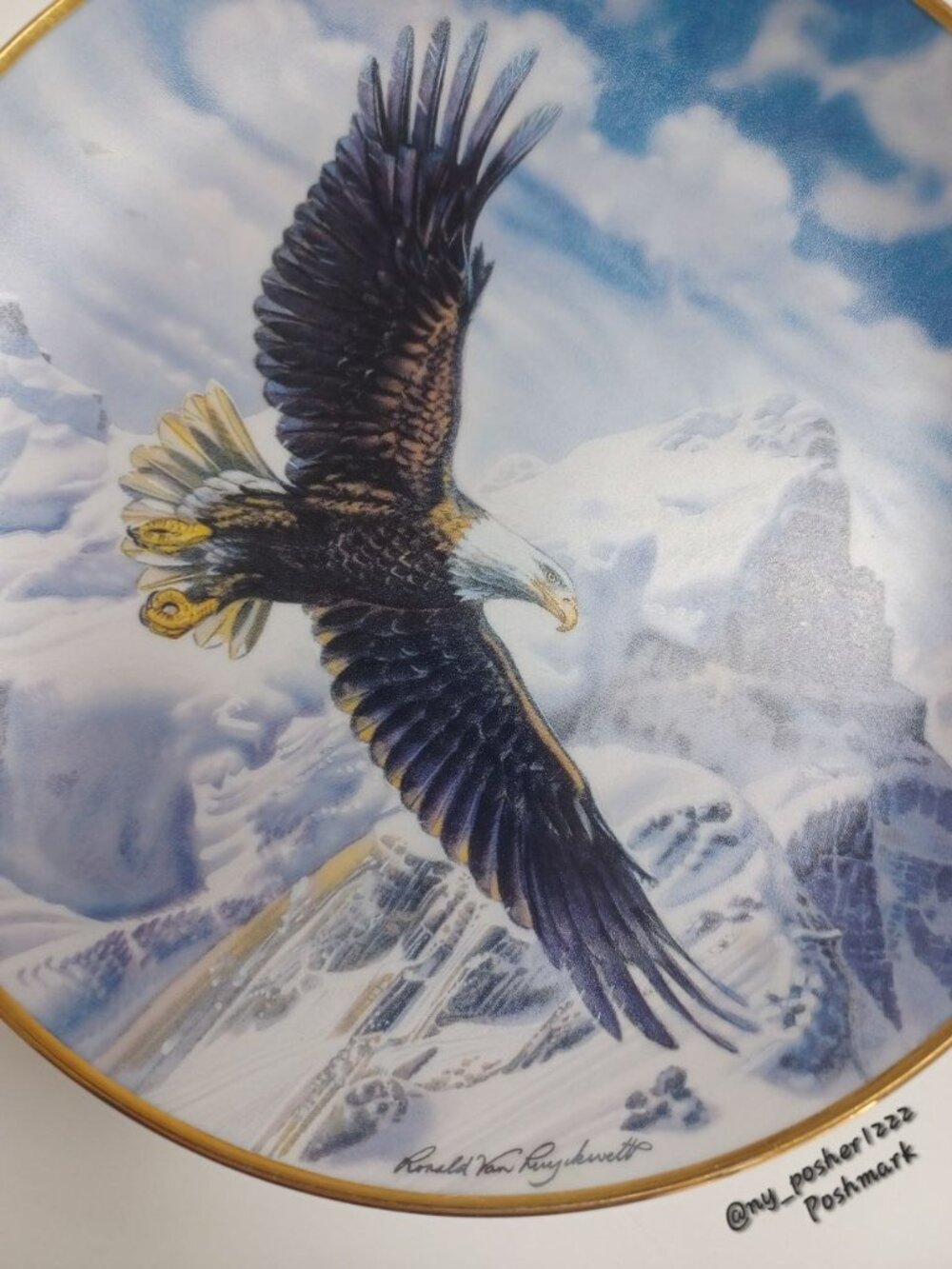 *𝓥𝓣𝓖𝖥𝖱𝖠𝖭𝖪𝖫𝖨𝖭 𝖬𝖨𝖭𝖳 𝓞𝓷 𝓕𝓻𝓮𝓮𝓭𝓸𝓶'𝓼 𝓦𝓲𝓷𝙜 Collector Plate - Picture 2 of 5